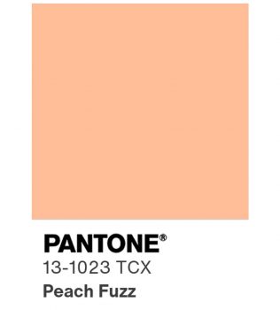 Peach Fuzz, a cor do ano 2024 Pantone