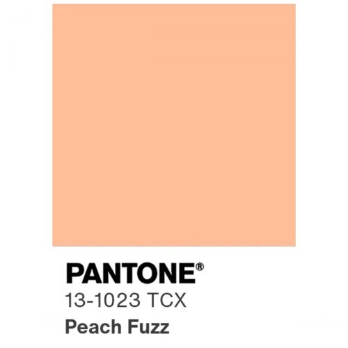 Peach Fuzz, a cor do ano 2024 Pantone